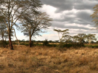 Geheimakte Sam Peters ab sofort für iOS