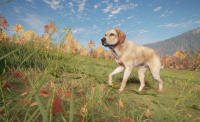 Der Labrador Retriever kommt ab heute in theHunter: Call of the Wild angesprungen