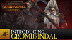 White Dwarf Lord Grombrindal Available for Free in Total War: Warhammer