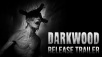 Darkwood вышла на Steam