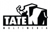 Tate Multimedia transitions from self-publishing to full-fledged publisher