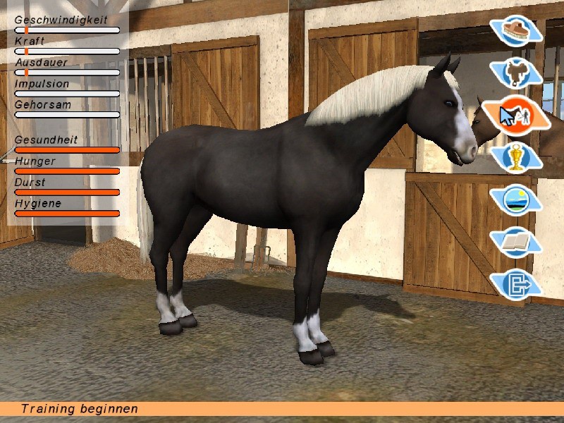Guess the Horse Video Game Equestrian Amino