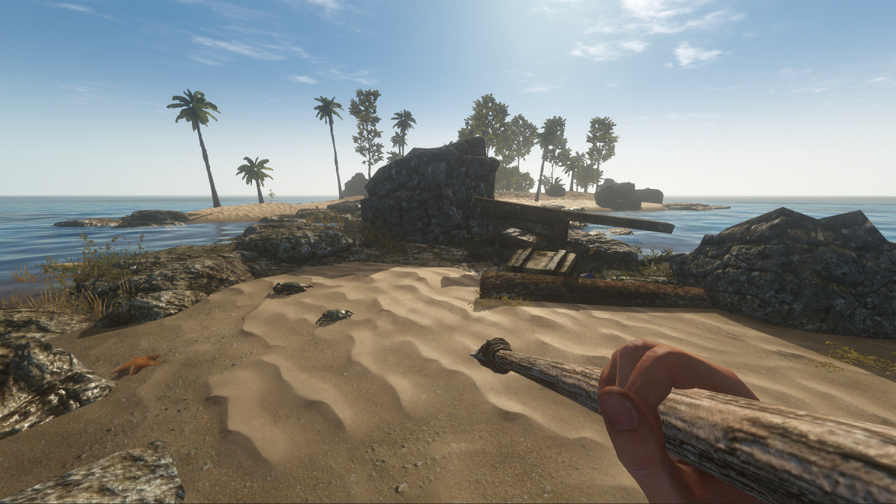 Stranded Deep' on PS4 and XBox One: Release Date, Price and Reviews