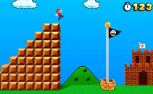 Super Mario 3D Land