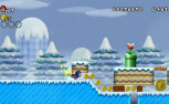 New Super Mario Bros. Wii