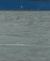 An Inconvenient Game: Dokumentarfilm über Computerspiele feiert München-Premiere