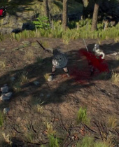 Tenebrae Exhibits Loot/Inventory System, Outdoor Environment in Latest Gameplay Teaser