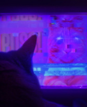 Settle In For This Arcade Puzzlers Ten Hour Trailer