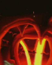 Wurmgeneräle aufgepasst: Worms 2: Armageddon Battle Pack ab sofort verfügbar