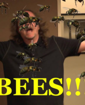 Beejumbled ab dem 13. Juni weltweit für iOS- und Android-Geräte erhältlich