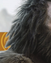 Far Cry Primal – New Trailer and Behind the Scenes Video