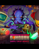Enter the Gungeon