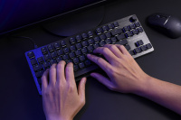 Turtle Beach: Die Gaming Tastatur Vulcan II TKL und die E-Sport Maus Burst II Pro sind ab sofort erhältlich