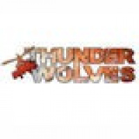 Der Arcade-Shooter Thunder Wolves erscheint im 2. Quartal 2013 für Xbox LIVE Arcade, Sony PlayStation Network und Windows PC