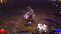 Torchlight 2