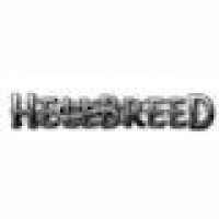 Krieger aus Action-Rollenspiel Hellbreed vorgestellt