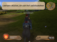 Mein Gest&uuml;t - Ein Leben f&uuml;r die Pferde