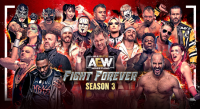 JAMIE HAYTER REGIERT ÜBER DEN AEW: FIGHT FOREVER RING