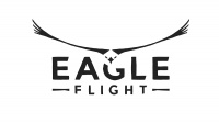 Eagle Flight Now Out for PlayStation VR