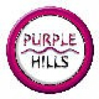 Picture Puzzle Collection für Nintendo DS im Handel