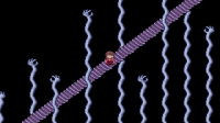 Creepy Underground Japanese Hit, Yume Nikki Gets New Life On Steam
