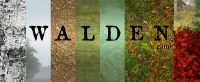 Walden, a game