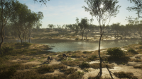 Outback-Update und Australien-Karte für theHunter: Call of the Wild ab sofort verfügbar