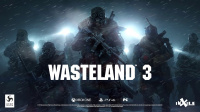 Wasteland 3