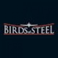 Neue Website zu Birds of Steel