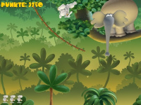 Mordillos Jungle Fever