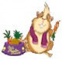 Tierische VIPs – Wellness für 4 Pfoten für Nintendo DS(i) ab sofort im Handel