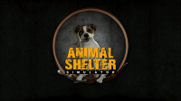 Animal Shelter