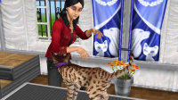 Haustiere erwünscht: Katzen & Hunde in Die Sims FreePlay erziehen und pflegen