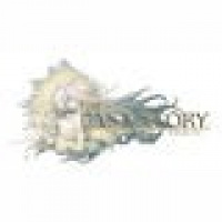 Nintendo kündigt neues Action-Rollenspiel The Last Story für Wii an