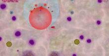 Infektor ... Infects Steam Today