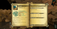 WAKFU MMORPG: Ankündigung der Open Beta Phase