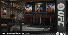 Mit EA SPORTS UFC vom Ultimate Fighter zur Hall-Of-Fame-Legende