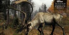 Cabela’s Big Game Hunter: Pro Hunts - Die Jagd geht weiter