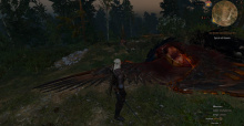 The Witcher3: Wild Hunt