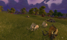 World of Warcraft: Warlords of Draenor erscheint am 13. November