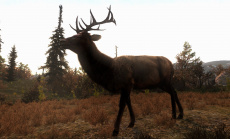 Cabela’s Big Game Hunter: Pro Hunts ab sofort erhältlich