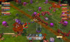 Fort Triumph