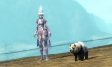 In Guild Wars 2 beginnt das Fest der Vier Winde