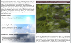 Panzer Tactics HD: Geheimdienstbericht #4 und Vorbesteller Rabattaktion auf Steam