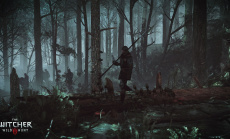 The Witcher 2: Wild Hunt - E3 2014 Material veröffentlicht