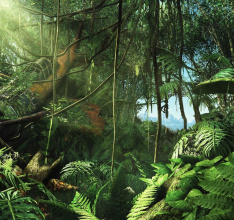 Ubisoft enthüllt Far Cry 3 auf der E3