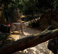 Pirates VR: Jolly Roger