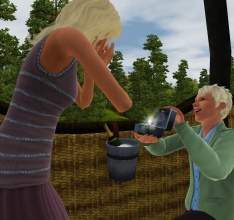 Die Sims 3 Aurora Skies ist ab sofort erhältlich