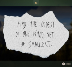 Way of the Hunter - Aurora Shores