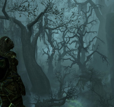 Elder Scrolls Online Support PS4 Pro Via Free Update